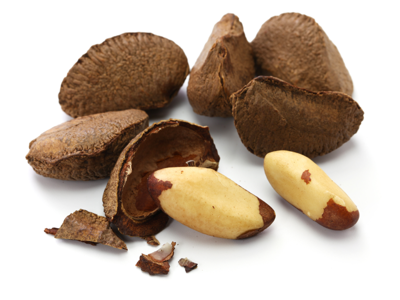 Brazil Nuts