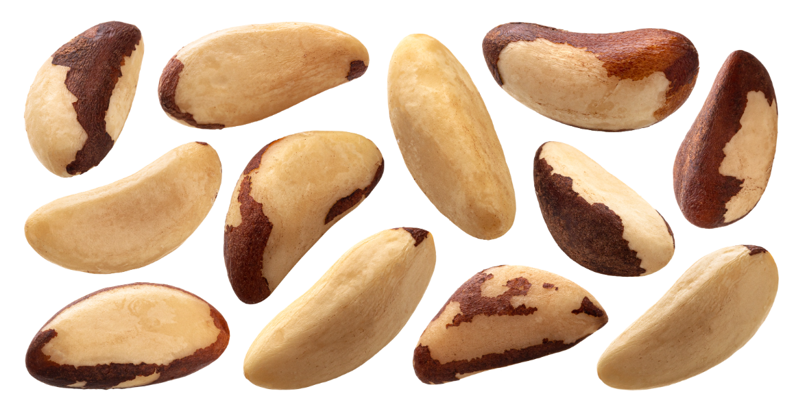 Premium Brazil Nuts Large View