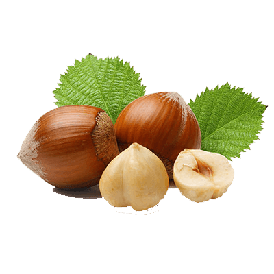 Hazel Nuts