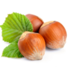 Hazel Nuts Thumbnail