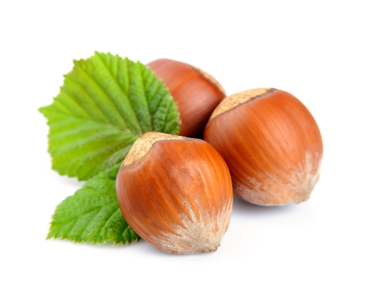 Hazel Nuts